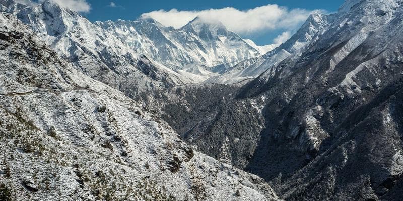 BCS English Preparation: A Complete Guide