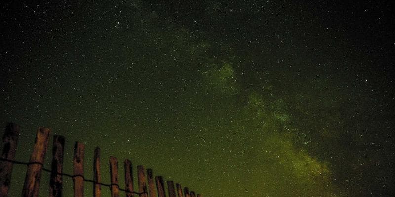 How to Find the Perfect Tutor for Your Child