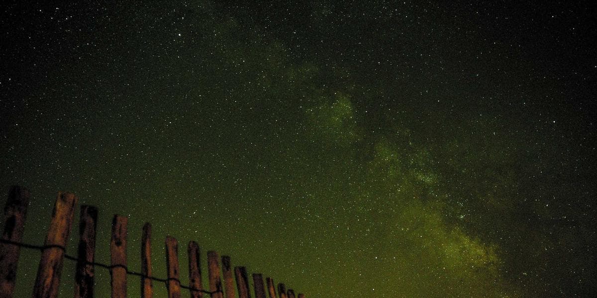 How to Find the Perfect Tutor for Your Child